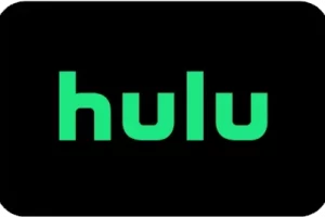 cast Hulu on hotel cast solution