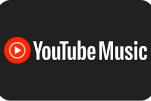 cast youtube music